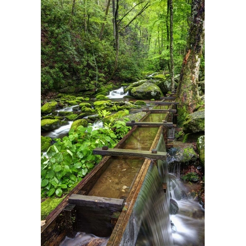 TN, Great Smoky Mts View of the Tub Mill flume